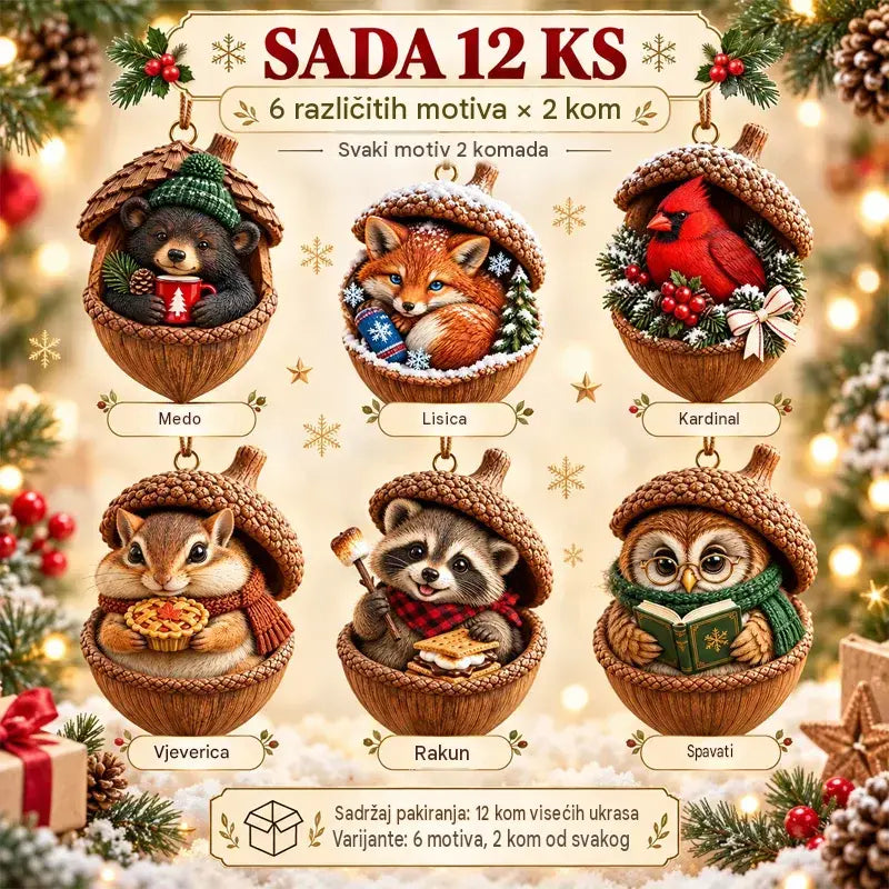 🎉【Kupite 6 komada i dobijte 6 komada gratis: 12 komada】🤩 🎁Novi 2D akrilni božićni dizajn sa životinjama u obliku češera